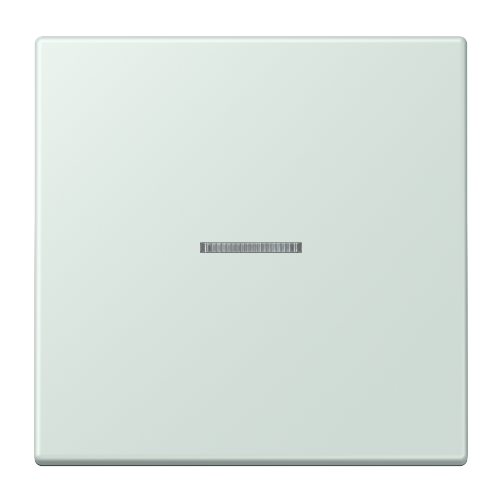 JUNG Bedienelement 1f cer_pal m.Abd mt BT LC 17101 215 f.Dimmeins f.Schalteins