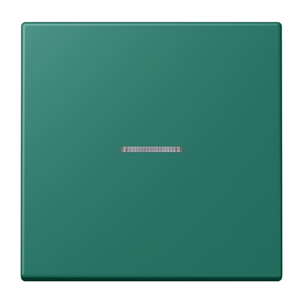 JUNG Bedienelement 1f ver_ang m.Abd mt BT LC 17101 216 f.Dimmeins f.Schalteins