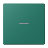 JUNG Bedienelement 1f ver_ang m.Abd mt BT LC 17101 216 f.Dimmeins f.Schalteins