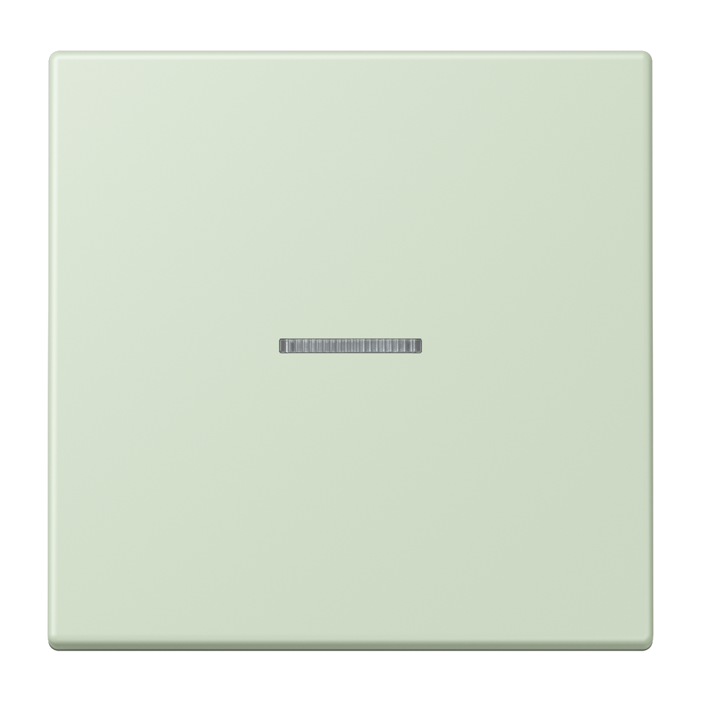 JUNG Bedienelement 1f ver_ang_pal m.Abd BT LC 17101 218 f.Dimmeins f.Schalteins
