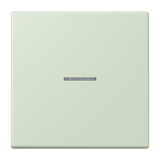 JUNG Bedienelement 1f ver_ang_pal m.Abd BT LC 17101 218 f.Dimmeins f.Schalteins
