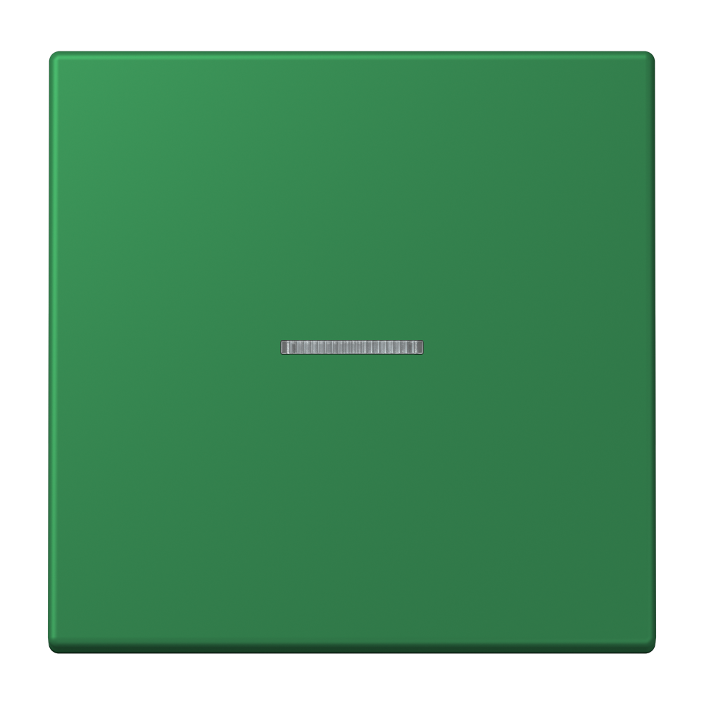JUNG Bedienelement 1f ver_fon m.Abd mt BT LC 17101 219 f.Dimmeins f.Schalteins