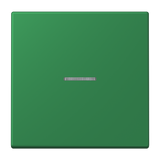 JUNG Bedienelement 1f ver_fon m.Abd mt BT LC 17101 219 f.Dimmeins f.Schalteins