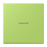 JUNG Bedienelement 1f ver_cla m.Abd mt BT LC 17101 221 f.Dimmeins f.Schalteins