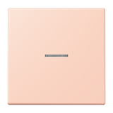 JUNG Bedienelement 1f l'ocr_rou_cla mt BT LC 17101 234 m.Abd f.Dimmeins LED