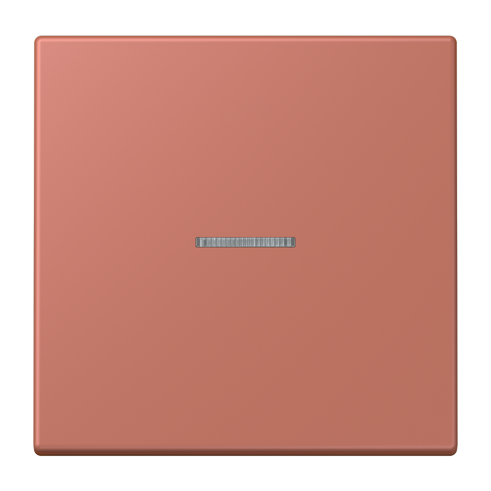 JUNG Bedienelement 1f ter_sie_briq m.Abd BT LC 17101 236 f.Dimmeins f.Schalteins
