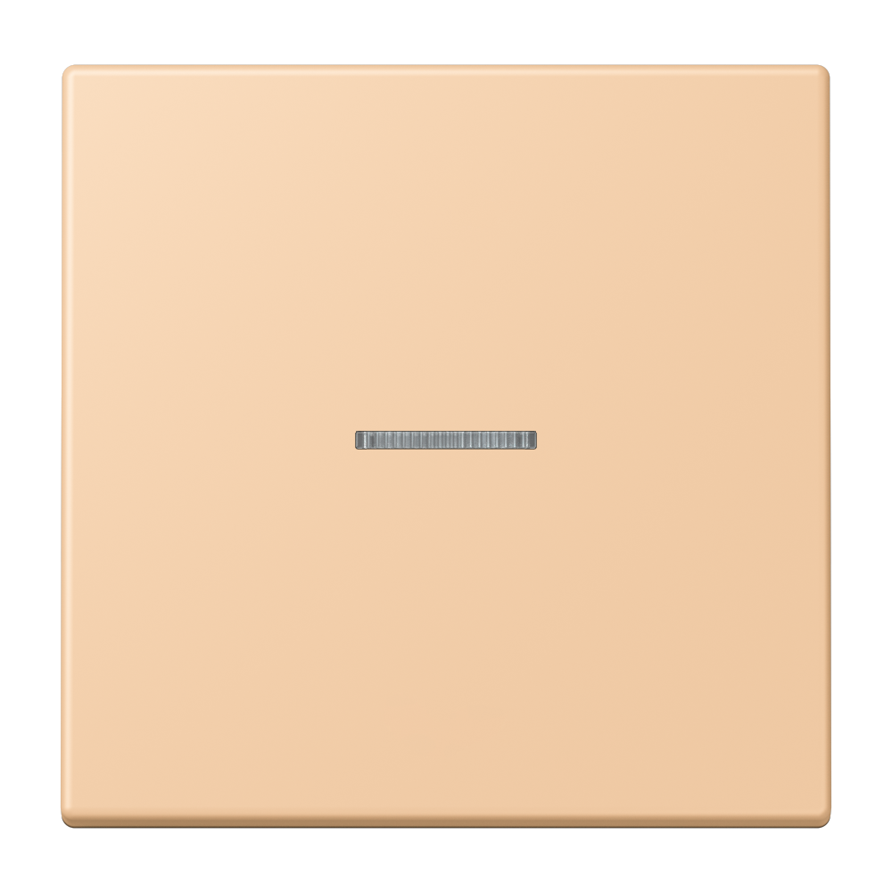 JUNG Bedienelement 1f ter_sie_31 m.Abd BT LC 17101 237 f.Dimmeins f.Schalteins