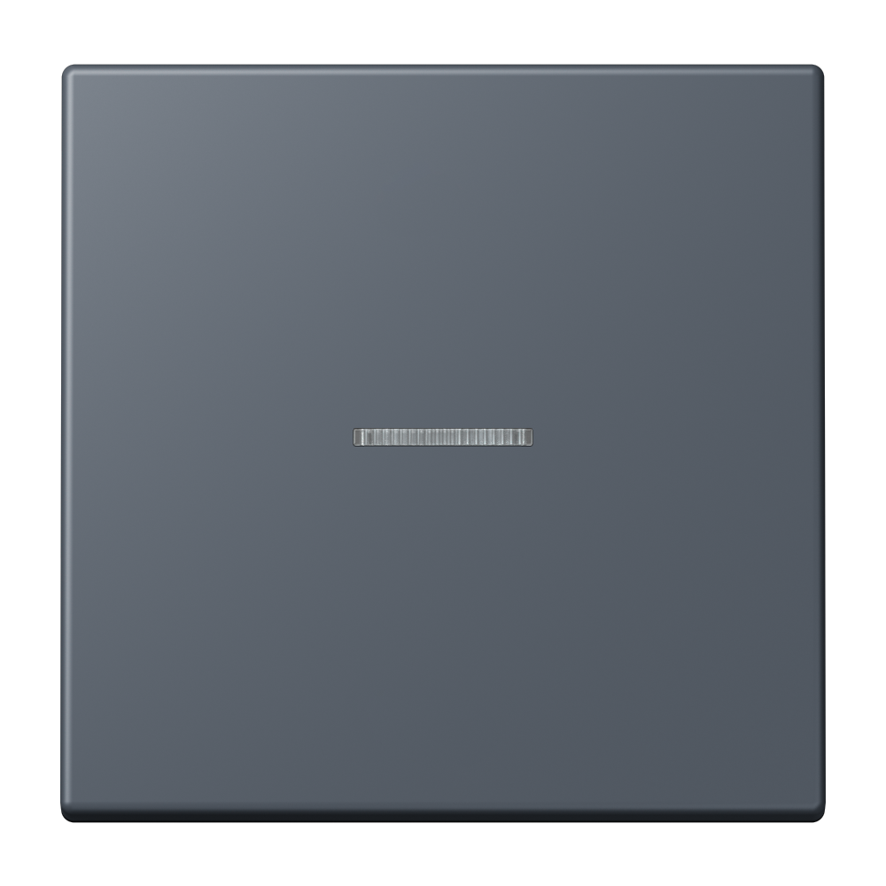 JUNG Bedienelement 1f gri_fon_59 m.Abd BT LC 17101 262 f.Dimmeins f.Schalteins