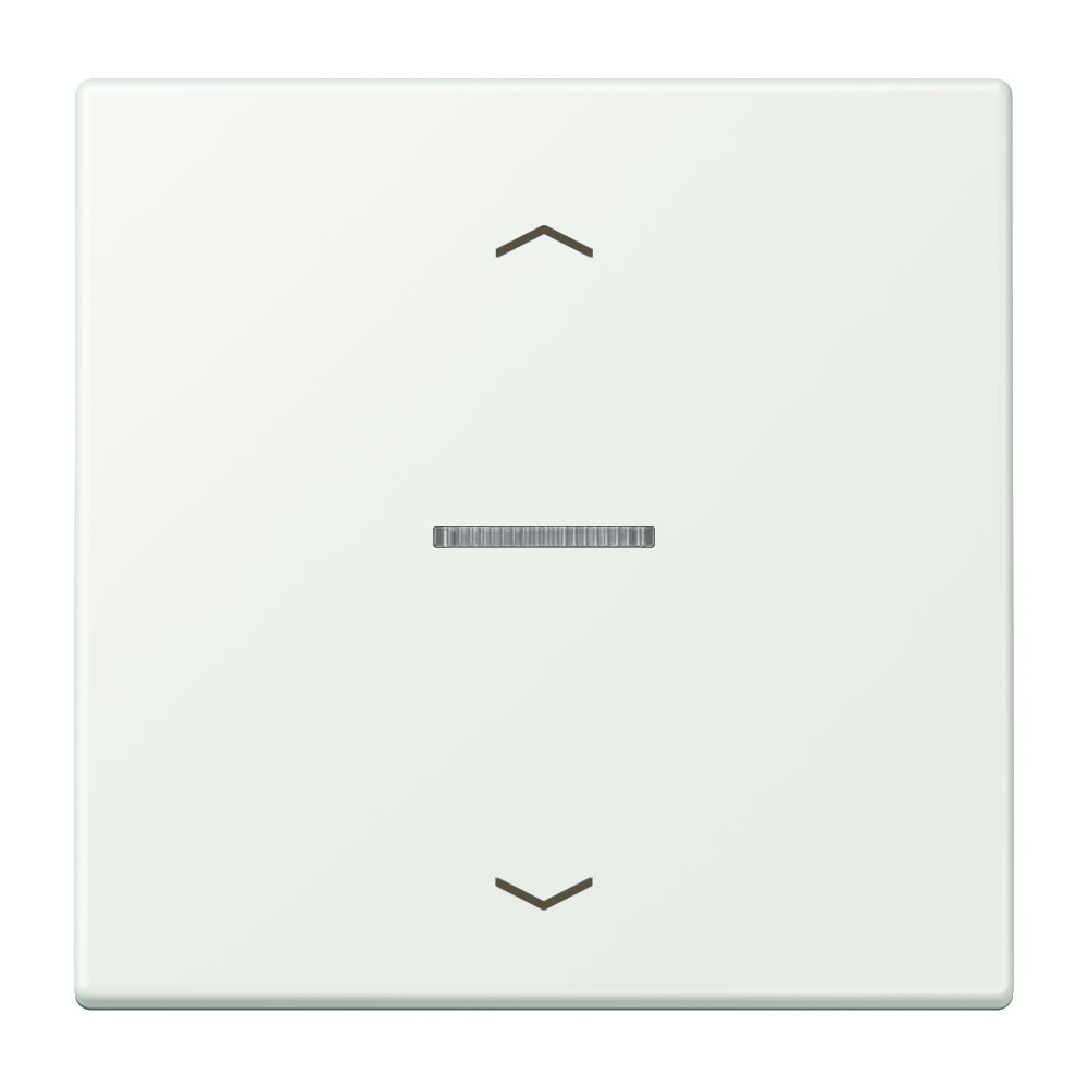 JUNG Bedienelement 1f out_gri m.Abd mt BT LC 17101 P 210 f.Dimmeins LED