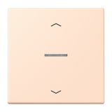JUNG Bedienelement 1f ros_pal m.Abd mt BT LC 17101 P 228 f.Dimmeins LED