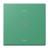 JUNG Bedienelement 1f ver_59 m.Abd mt BT LC 17101 P 250 f.Dimmeins LED