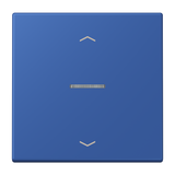 JUNG Bedienelement 1f ble_out_59 m.Abd BT LC 17101 P 253 f.Dimmeins mt LED