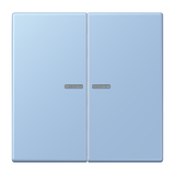 JUNG Bedienelement 2f out_moy m.Abd mt BT LC 17102 207 f.Dimmeins f.Schalteins
