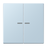 JUNG Bedienelement 2f out_cla m.Abd mt BT LC 17102 208 f.Dimmeins f.Schalteins