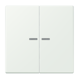 JUNG Bedienelement 2f out_gri m.Abd mt BT LC 17102 210 f.Dimmeins f.Schalteins