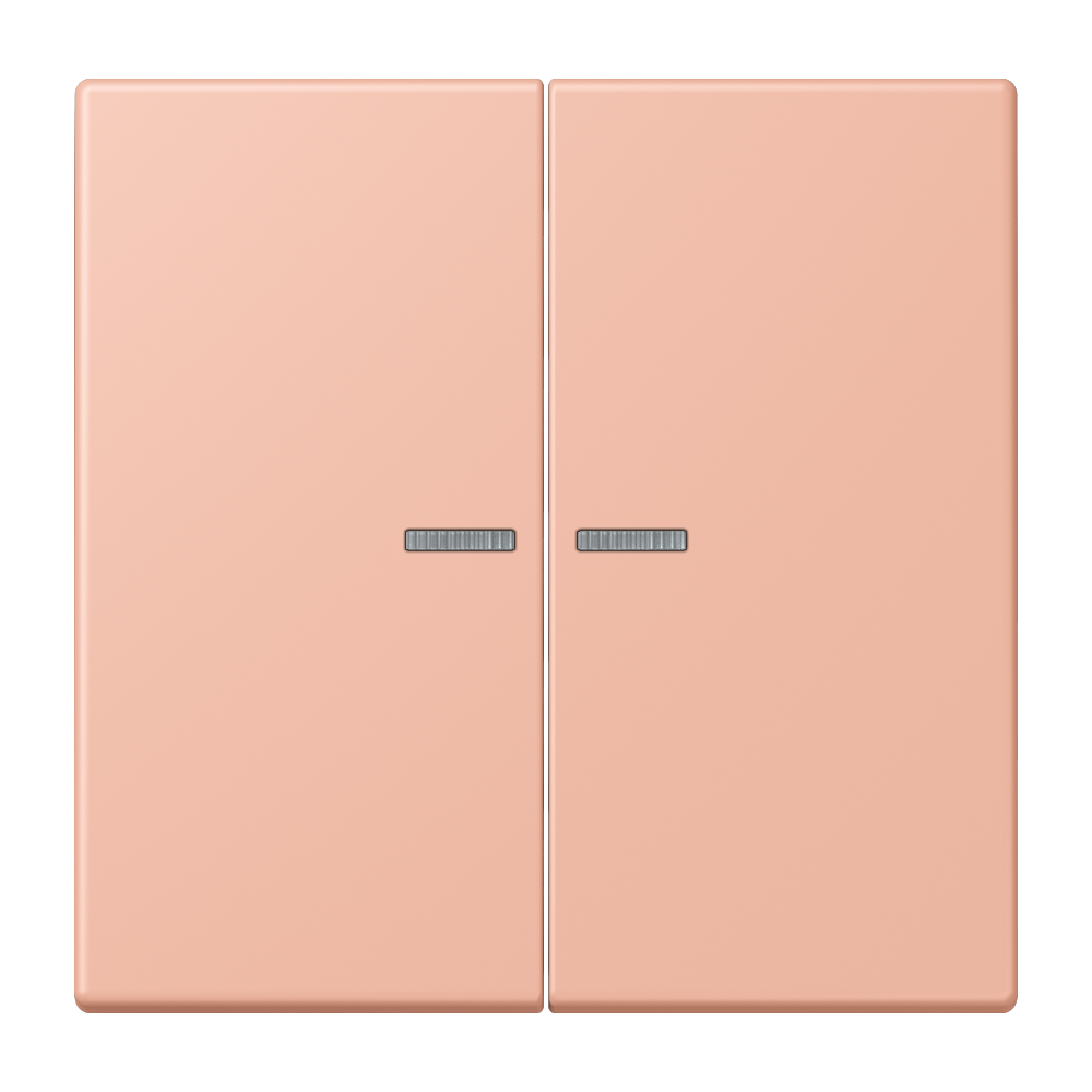 JUNG Bedienelement 2f ros_cla m.Abd mt BT LC 17102 231 f.Dimmeins f.Schalteins