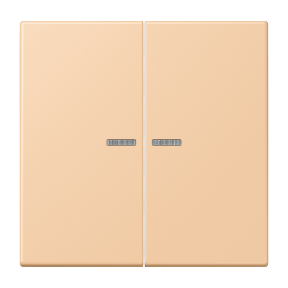 JUNG Bedienelement 2f ter_sie_31 m.Abd BT LC 17102 237 f.Dimmeins f.Schalteins