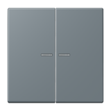 JUNG Bedienelement 2f gri_59 m.Abd mt BT LC 17102 251 f.Dimmeins f.Schalteins