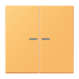 JUNG Bedienelement 2f ocr_jau_cla m.Abd BT LC 17102 254 f.Dimmeins f.Schalteins