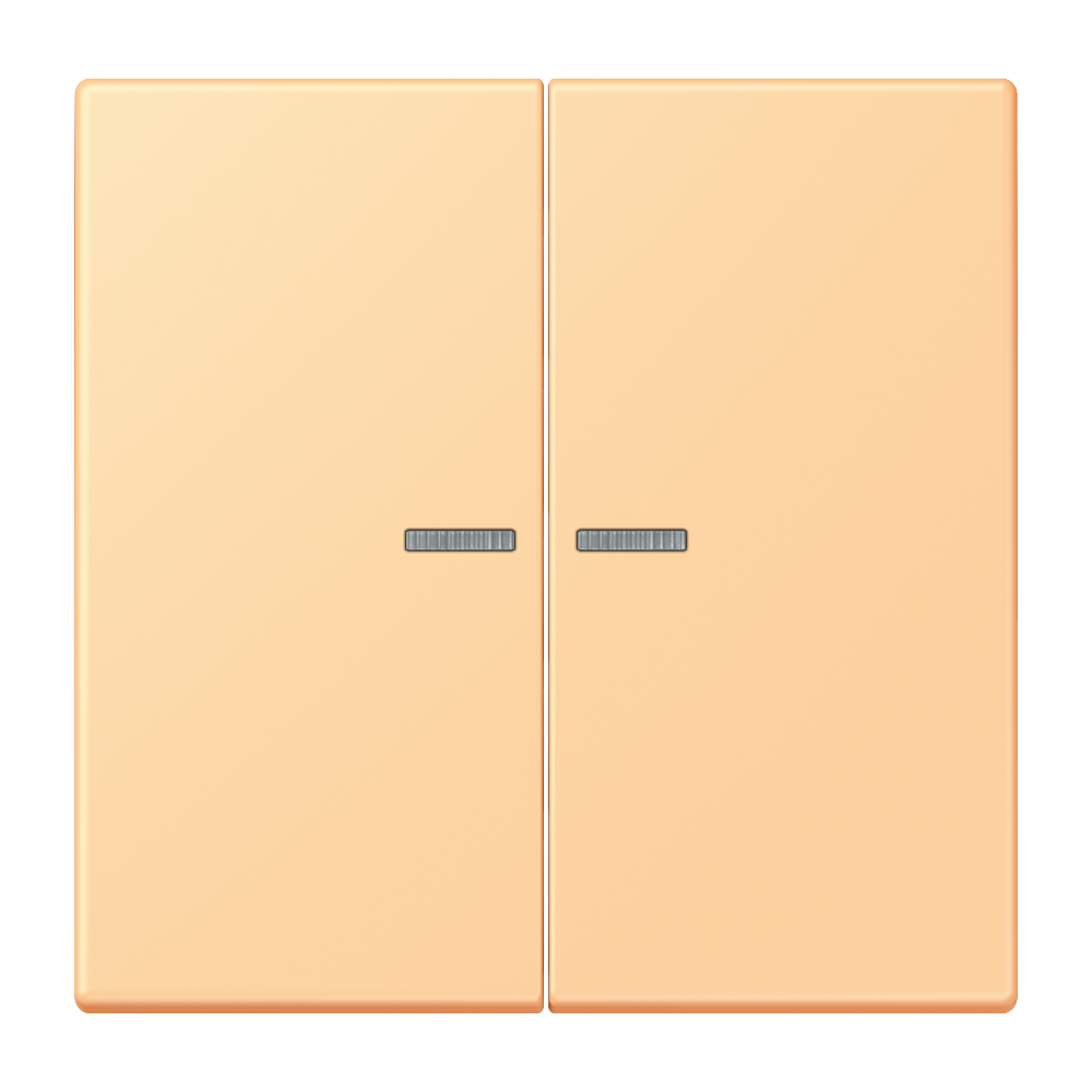 JUNG Bedienelement 2f ter_sie_59 m.Abd BT LC 17102 258 f.Dimmeins f.Schalteins