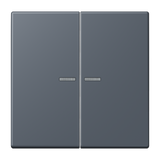JUNG Bedienelement 2f gri_fon_59 m.Abd BT LC 17102 262 f.Dimmeins f.Schalteins