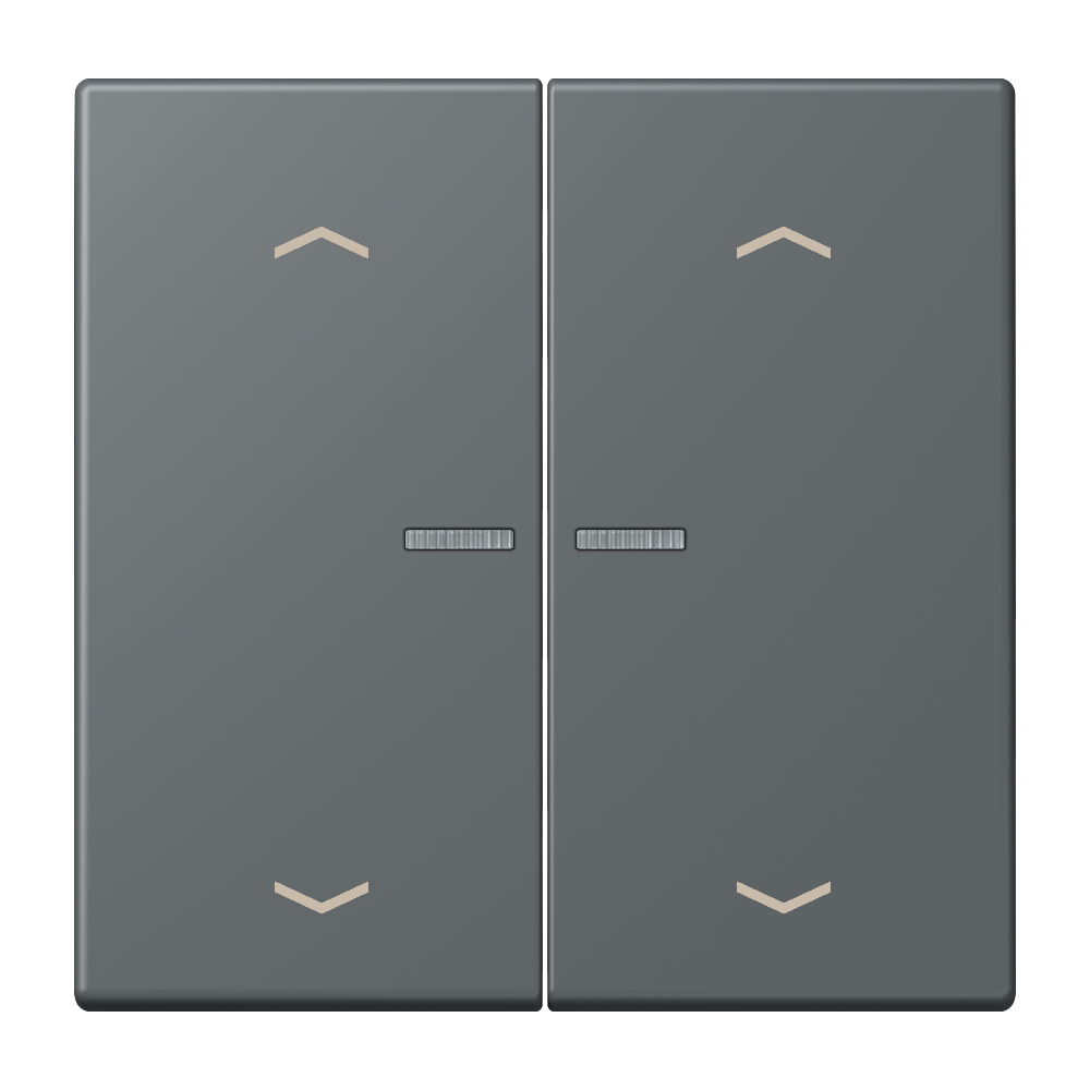 JUNG Bedienelement 2f gri_fon_31 m.Abd BT LC 17102 P 202 f.Dimmeins mt LED