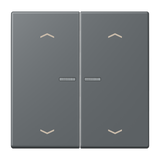 JUNG Bedienelement 2f gri_fon_31 m.Abd BT LC 17102 P 202 f.Dimmeins mt LED
