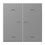 JUNG Bedienelement 2f gri_31 m.Abd mt BT LC 17102 P 203 f.Dimmeins LED