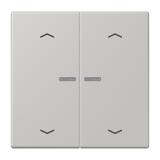 JUNG Bedienelement 2f gri_cla_31 m.Abd BT LC 17102 P 205 f.Dimmeins mt LED