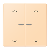 JUNG Bedienelement 2f ocre m.Abd mt LED BT LC 17102 P 223 f.Dimmeins