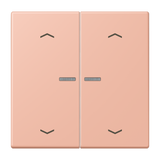 JUNG Bedienelement 2f ros_cla m.Abd mt BT LC 17102 P 231 f.Dimmeins LED