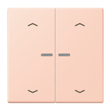 JUNG Bedienelement 2f l'ocr_rou_cla mt BT LC 17102 P 234 m.Abd f.Dimmeins LED