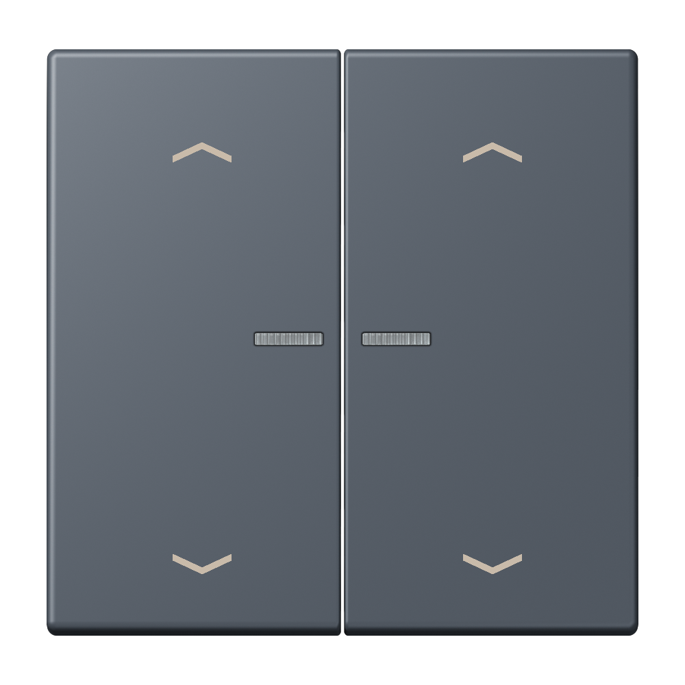 JUNG Bedienelement 2f gri_fon_59 m.Abd BT LC 17102 P 262 f.Dimmeins mt LED