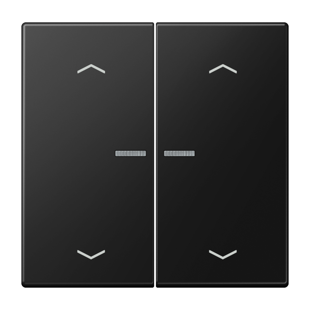 JUNG Bedienelement 2f gra-sw m.Abd mt BT LS 17102 P SWM f.Dimmeins LED