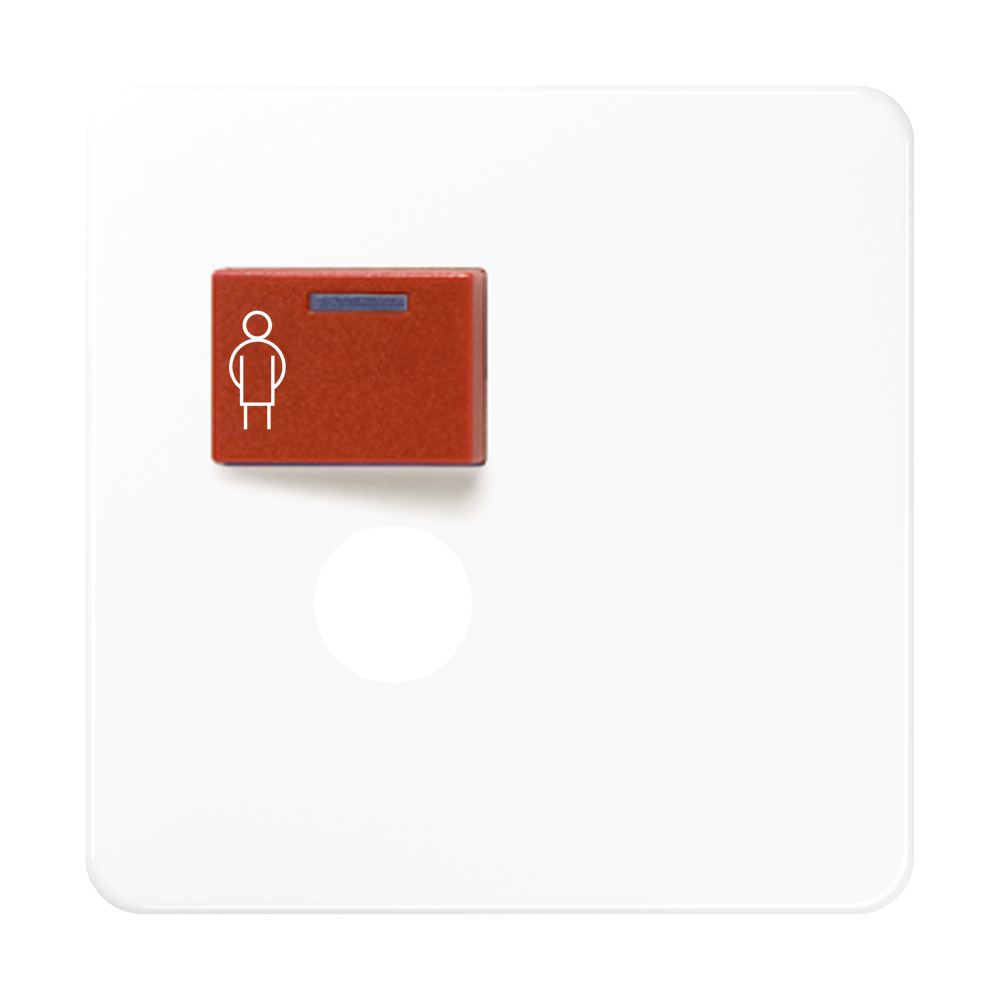 JUNG Klinik Abdeckung aws ZP glz CD 071 B WW