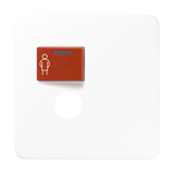 JUNG Klinik Abdeckung aws ZP glz CD 071 B WW