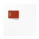 JUNG Klinik Abdeckung aws ZP glz CD 071 C WW