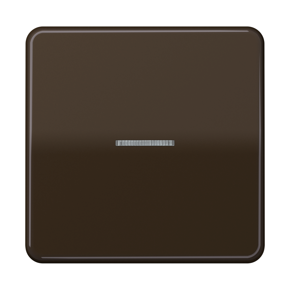 JUNG Kontrollwippe Schalter br glz CD 101 KO5 BR