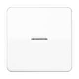 JUNG Kontrollwippe Schalter aws glz CD 101 KO5 WW