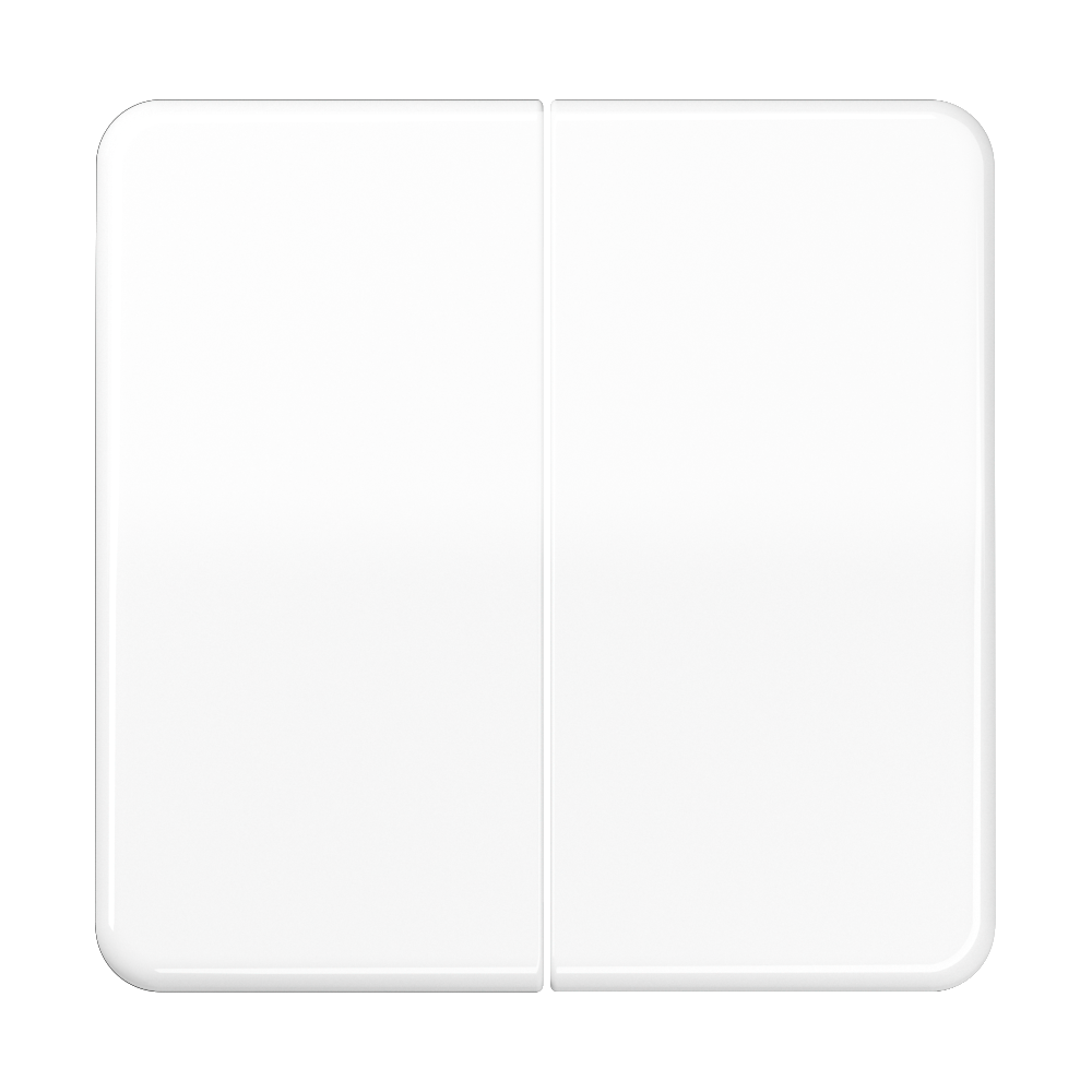 JUNG Wippe Serien Schalter aws glz CD 102 WW