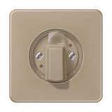 JUNG Knebel Jalousie go/brz glz CD 1541 GB