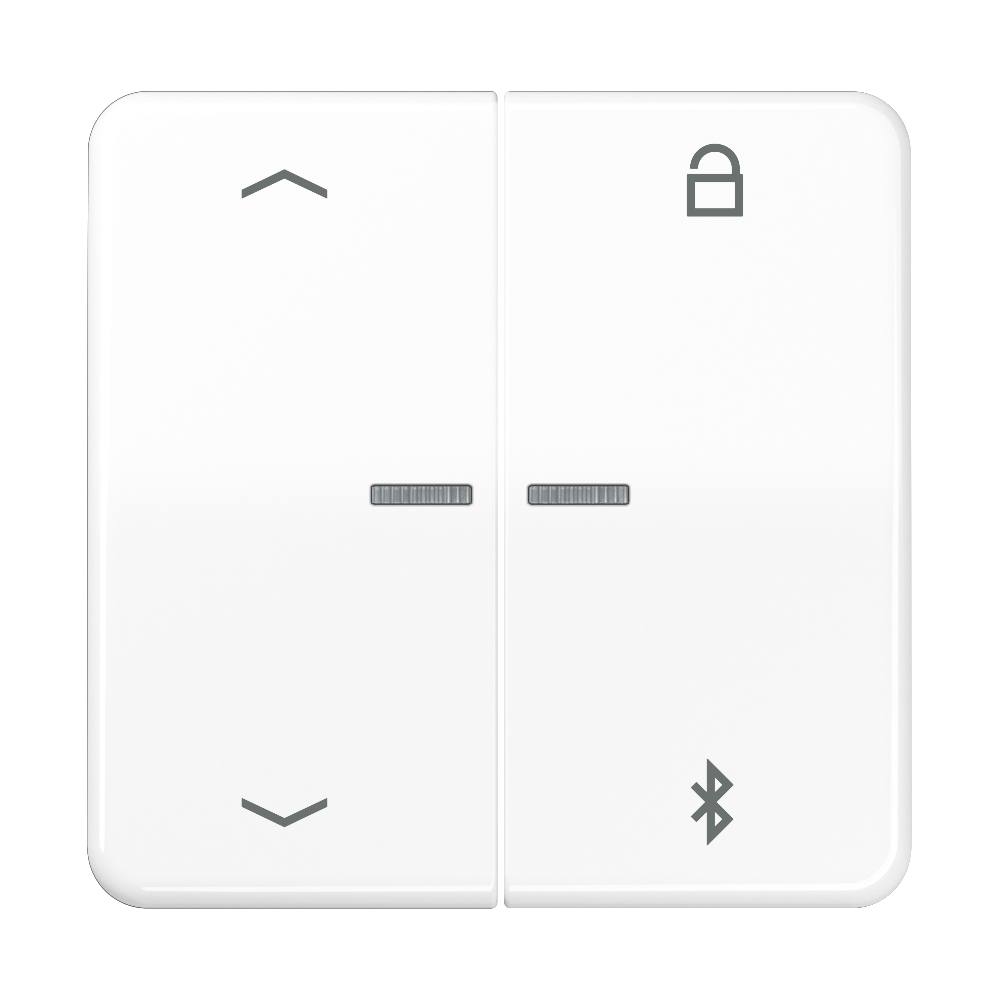 JUNG UP-BT-Timer-Einsatz aws glz CD 1751 PBT WW Basis+zentr.Abdeckpl