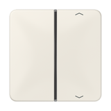 JUNG Wippe 1t Jalousie ws glz Pfeile CD 401 TSAP