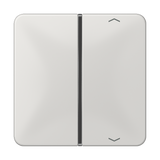 JUNG Wippe 1t Jalousie lgr glz CD 401 TSAP LG Pfeile
