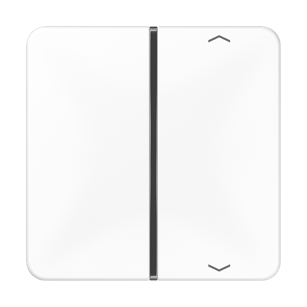 JUNG Wippe 1t Jalousie aws glz CD 401 TSAP WW Pfeile