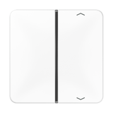 JUNG Wippe 1t Jalousie aws glz CD 401 TSAP WW Pfeile