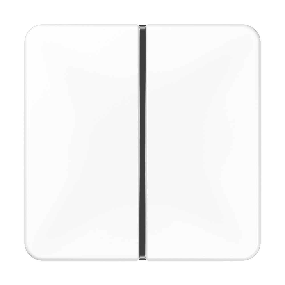 JUNG Wippe 1t Schalter aws glz CD 401 TSA WW