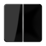 JUNG Wippe Serien Schalter sw glz CD 402 TSA SW