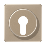 JUNG Schlüssel/Abd Schalter go/brz glz CD 528 GB