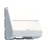 JUNG Einsatz UAE/IAE 1f aws Schraubbef CD 554 WW m.Beschr.Feld